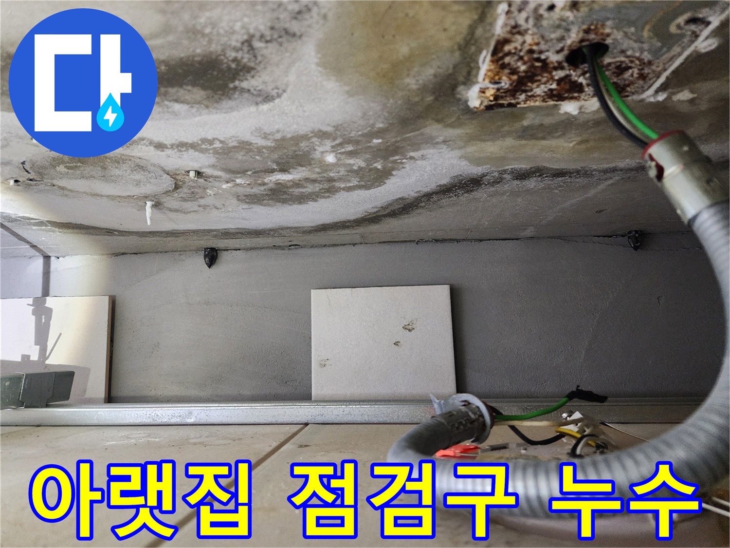아랫집 천장 누수 - 곰팡이 흔적 확인