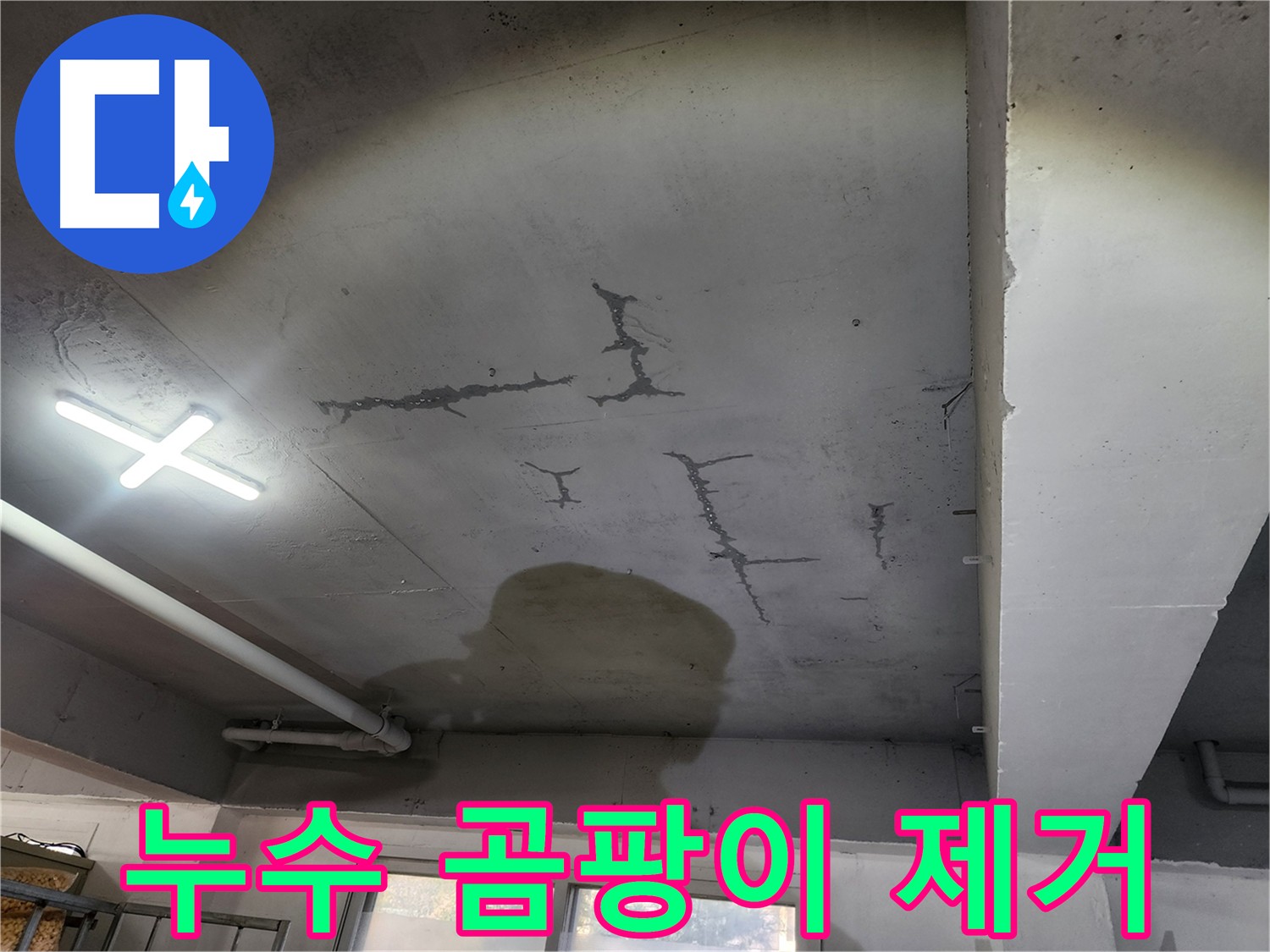 누수로 인한 곰팡이 문제 해결 - 쾌적한 환경 조성