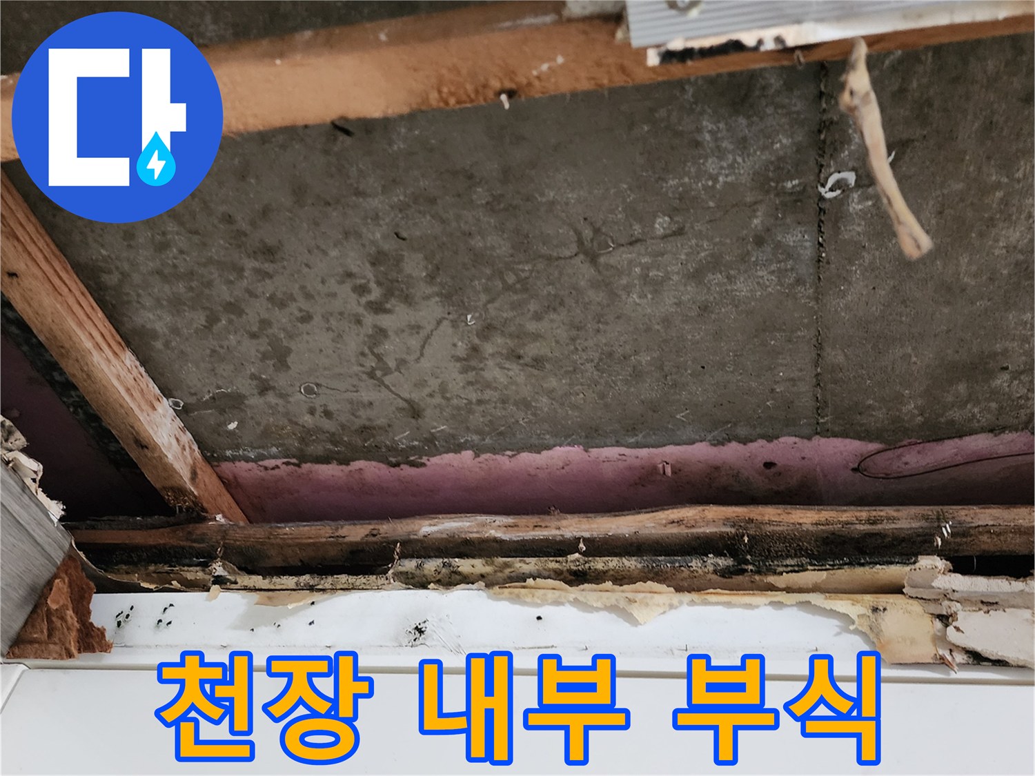 천장-내부-목재-부식-및-곰팡이-상태