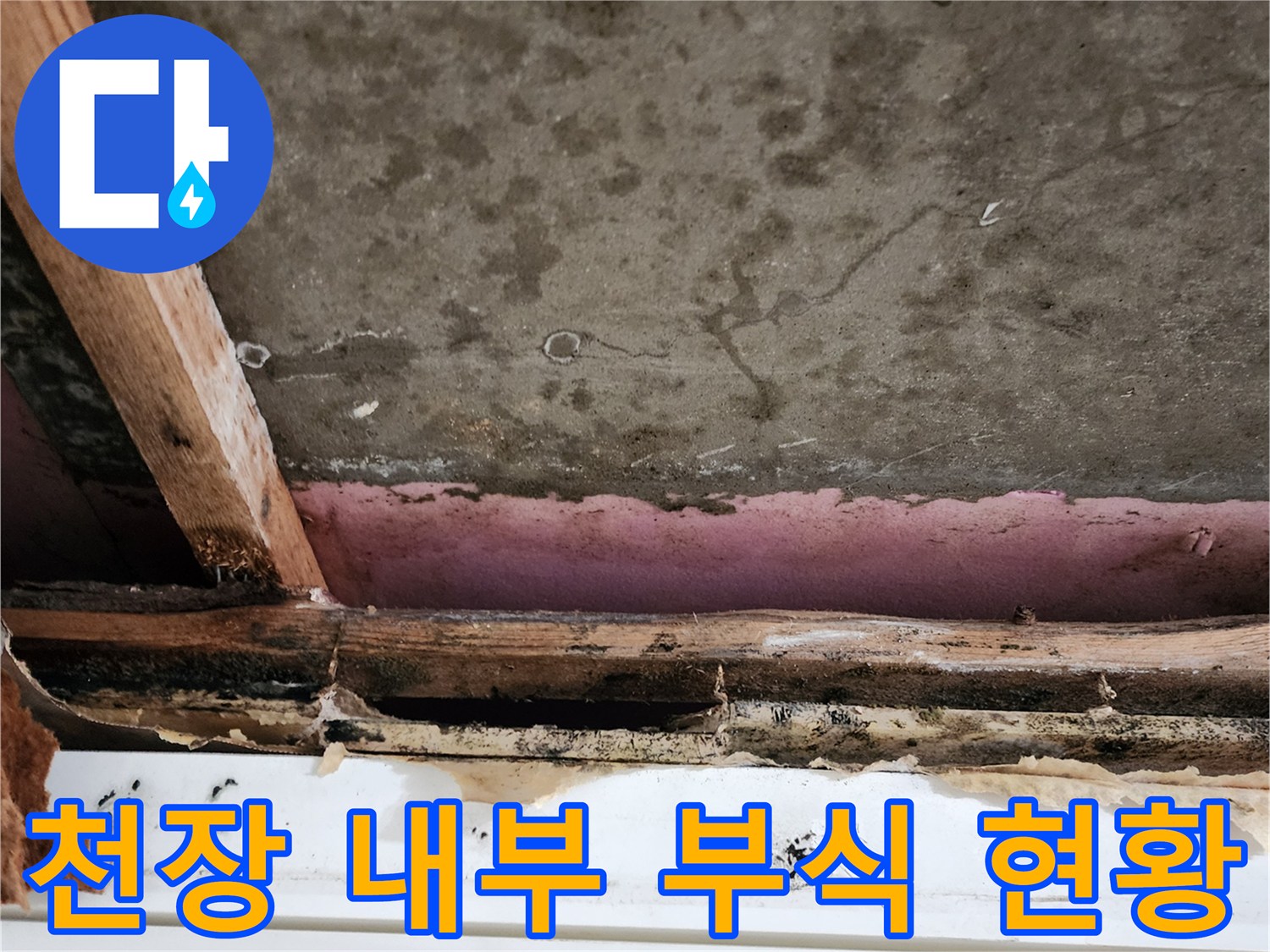 천장-프레임-및-마감재-부식-상태