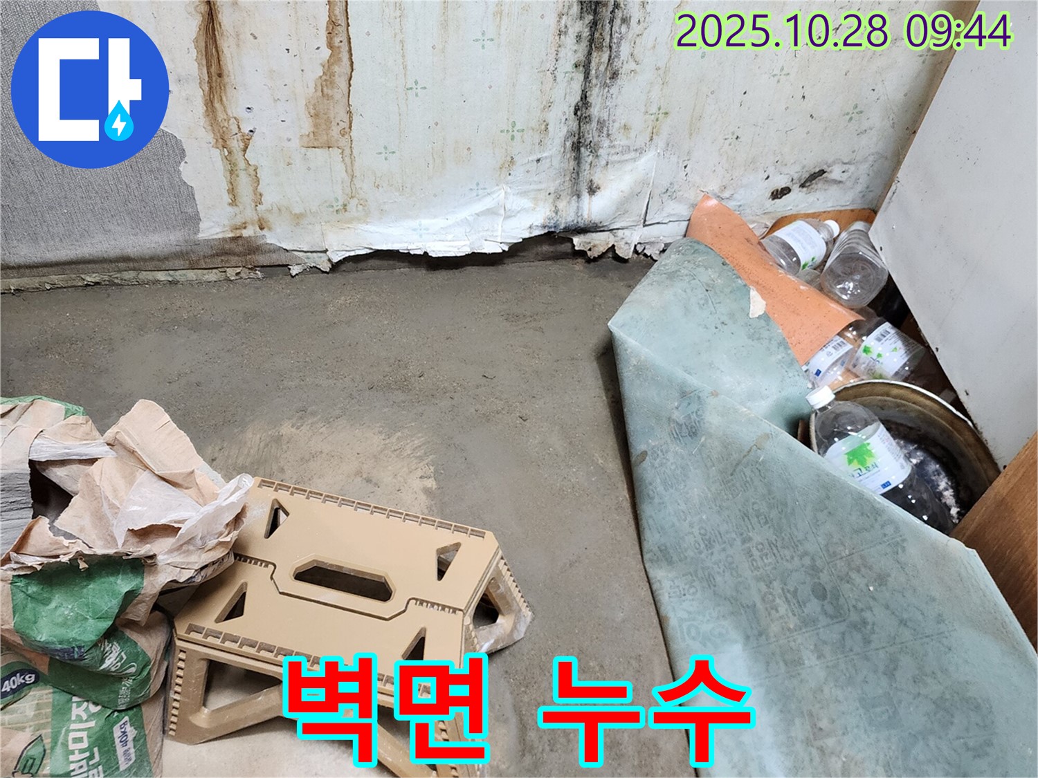 벽면 누수 - 젖은 벽과 곰팡이