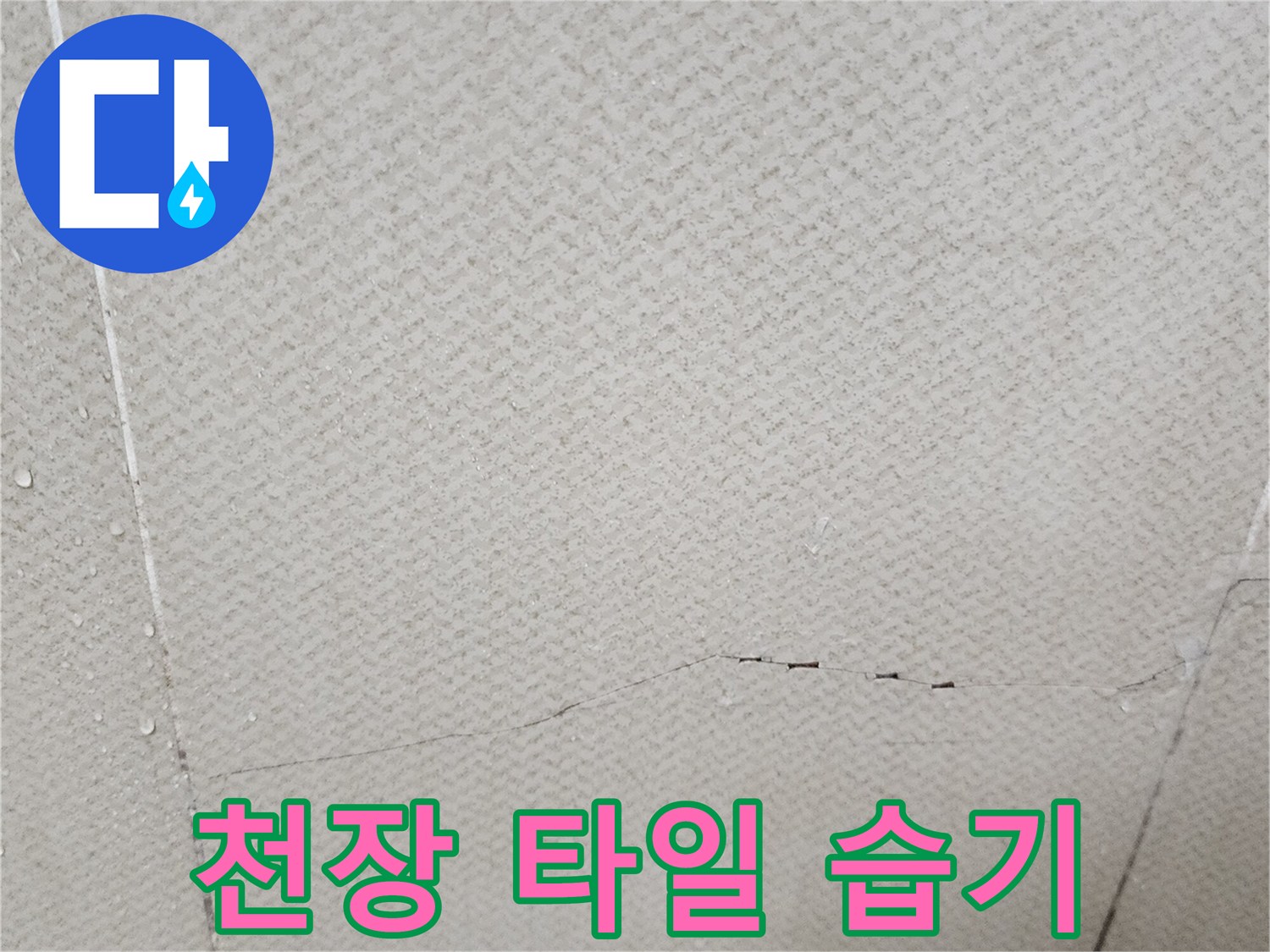 균열을 따라 물기가 침투한 천장 타일 표면
