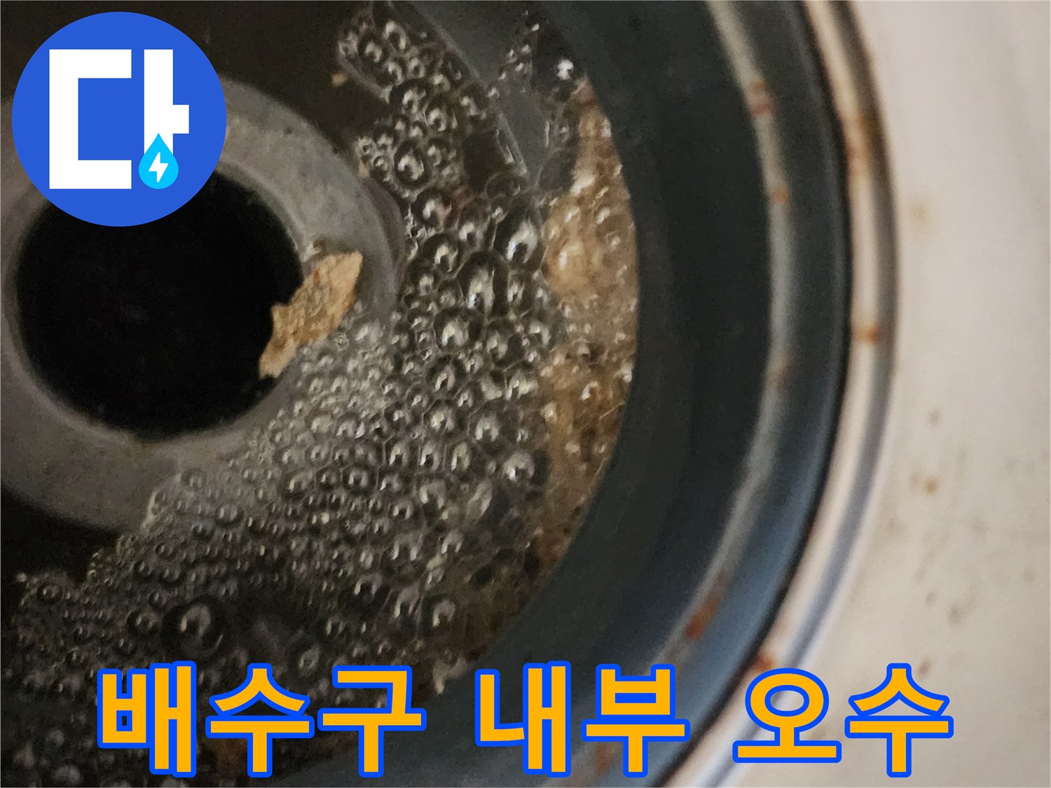 물이-고여있는-화장실-배수구-입구