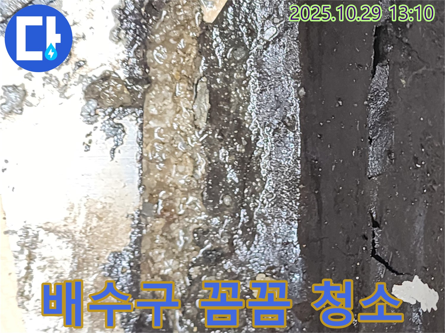 옥상 배수구 꼼꼼한 청소 작업