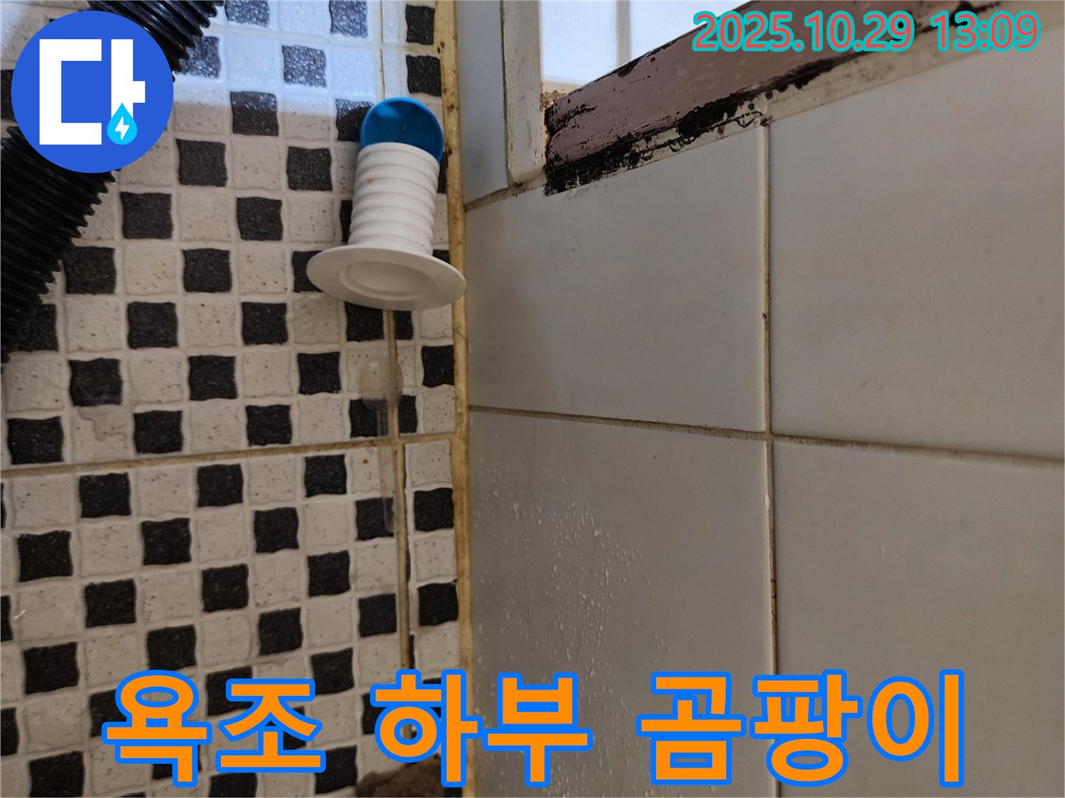 욕조 하부 곰팡이 - 습기 누적, 누수 의심