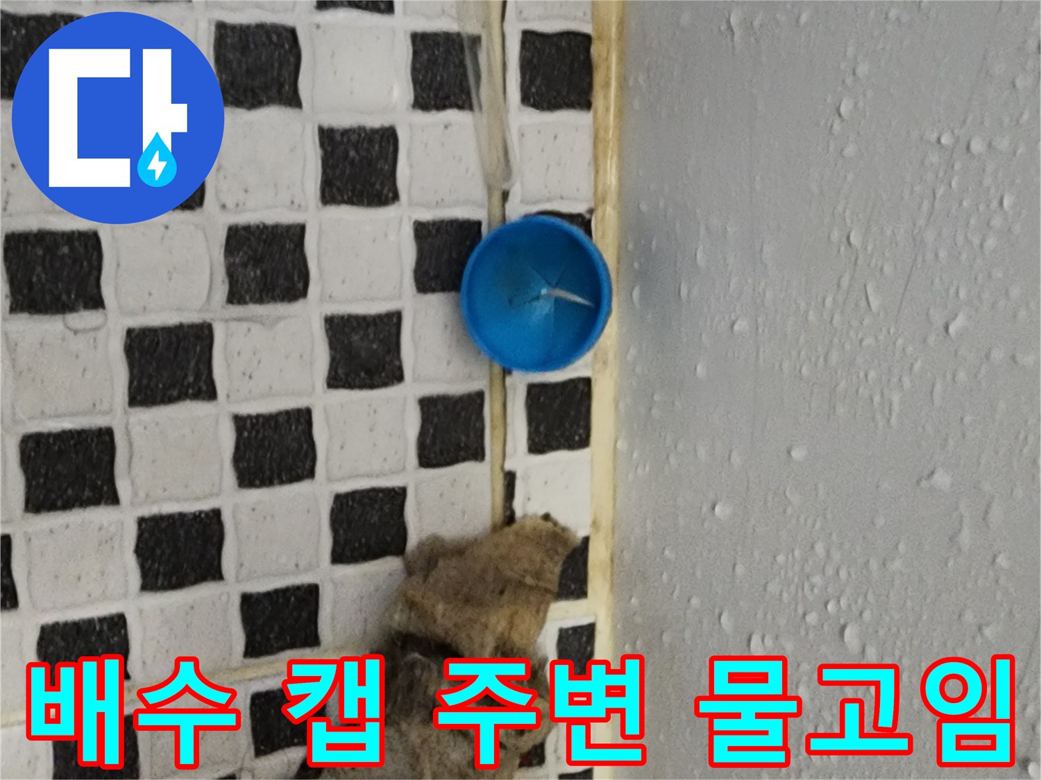 파란색-배수부속-및-젖은-타일-바닥