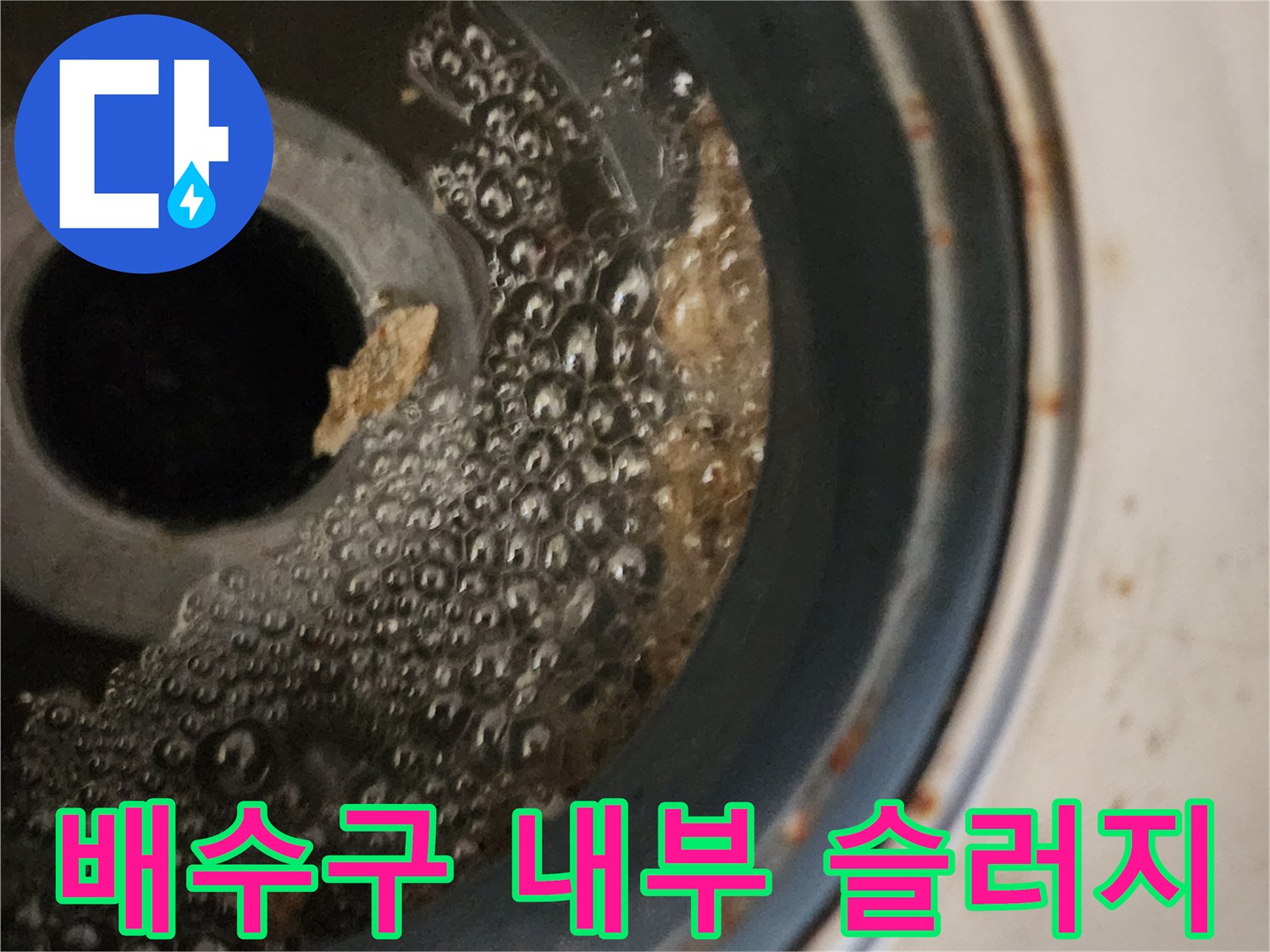 화장실-배수구-안쪽의-거품과-고인-물