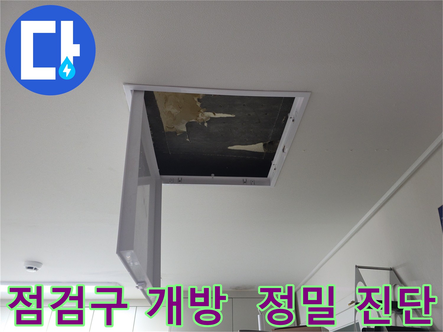 점검구를 열어 천장 내부를 확인하고 내시경 카메라, 습도계 등 전문 장비를 사용하는 사진