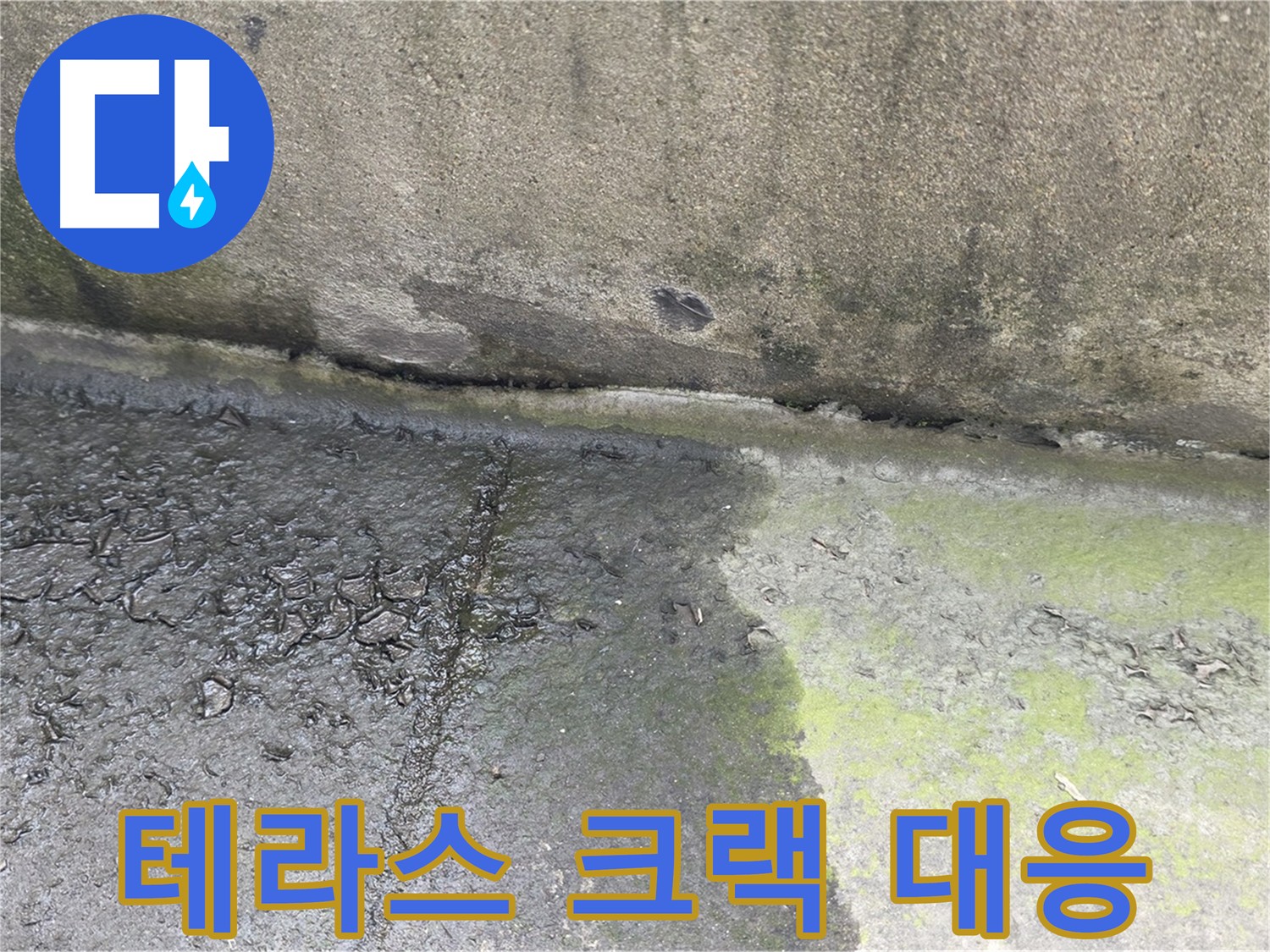 테라스 크랙 누수 초기 대응 사진