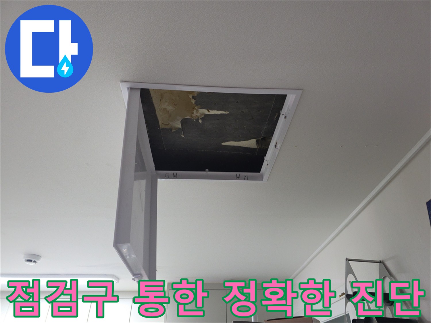 점검구를 통해 정확한 누수 원인을 진단하는 전문가의 모습