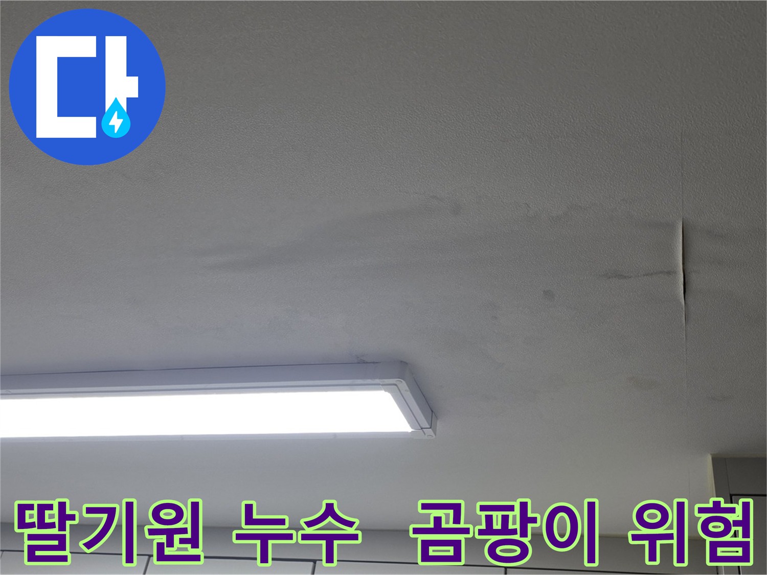 천장 누수로 인한 곰팡이 발생 - 건강 위협