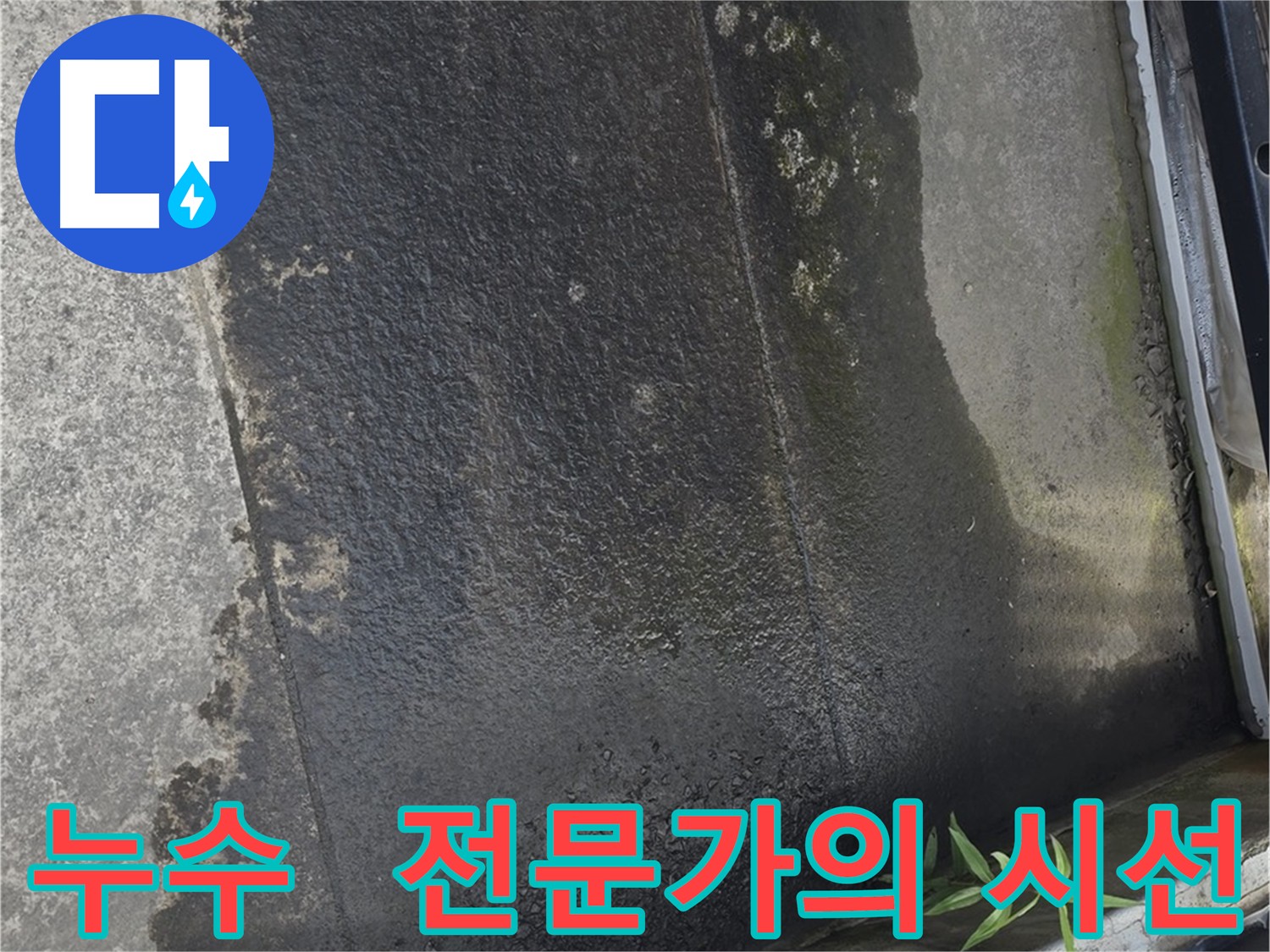 테라스에 고여있는 물 - 미끄럼 사고 및 건물 손상 위험