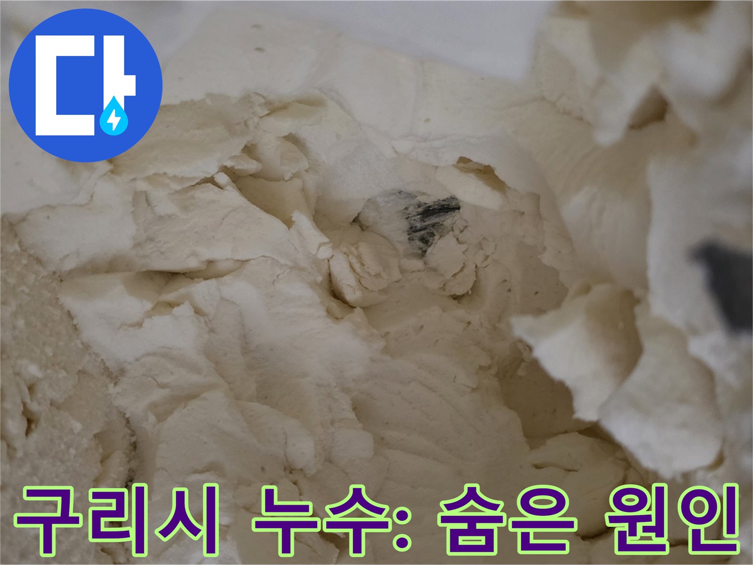 구리시 딸기원 누수 탐지 - 숨은 누수 원인 찾기