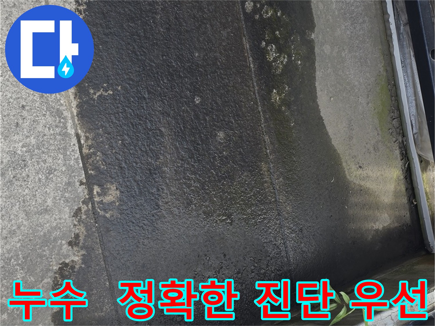 첨단 장비를 이용한 테라스 누수 진단 - 정확한 원인 분석