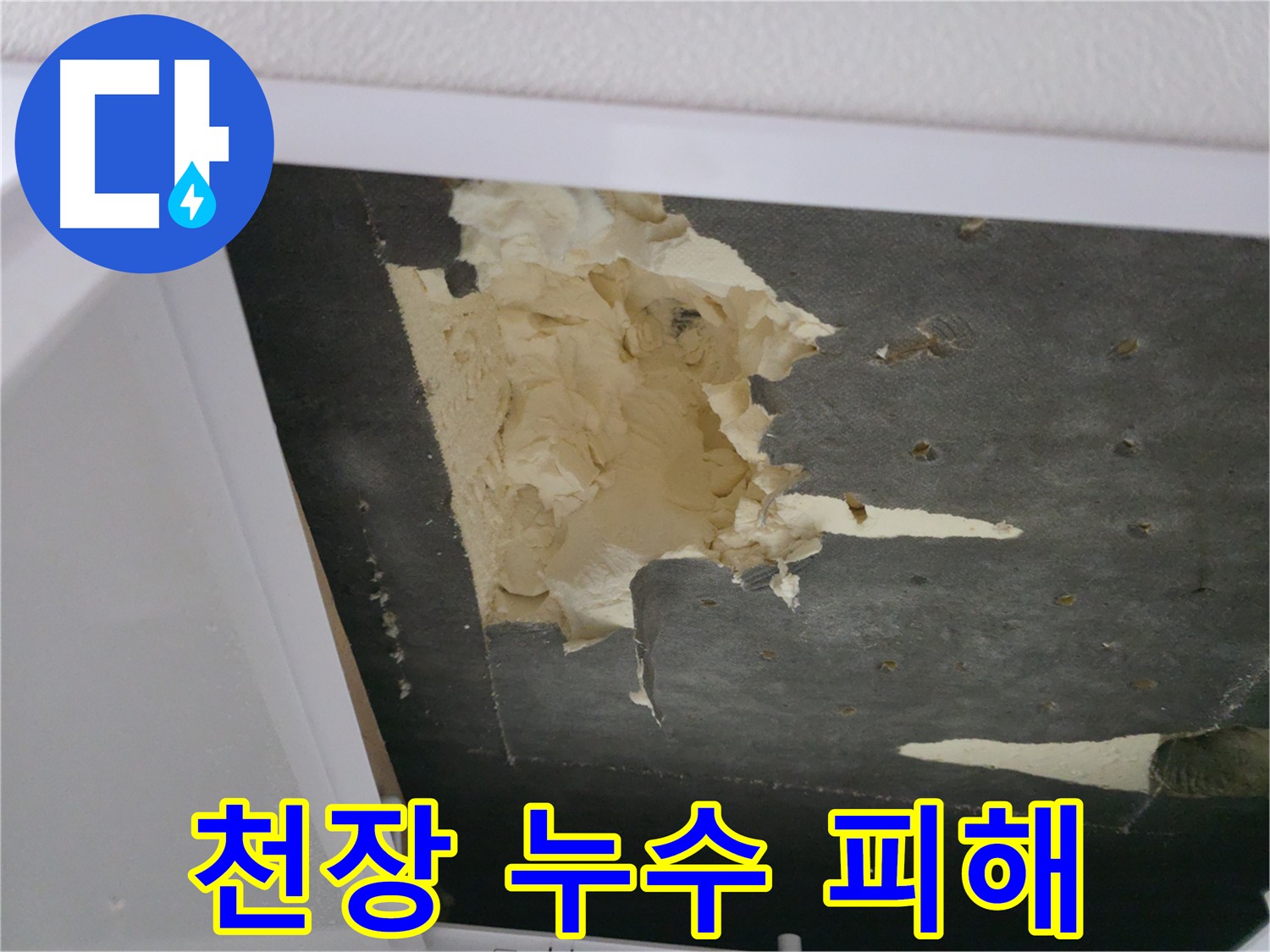 아파트 천장 누수 피해 확인 - 심각한 곰팡이 발생