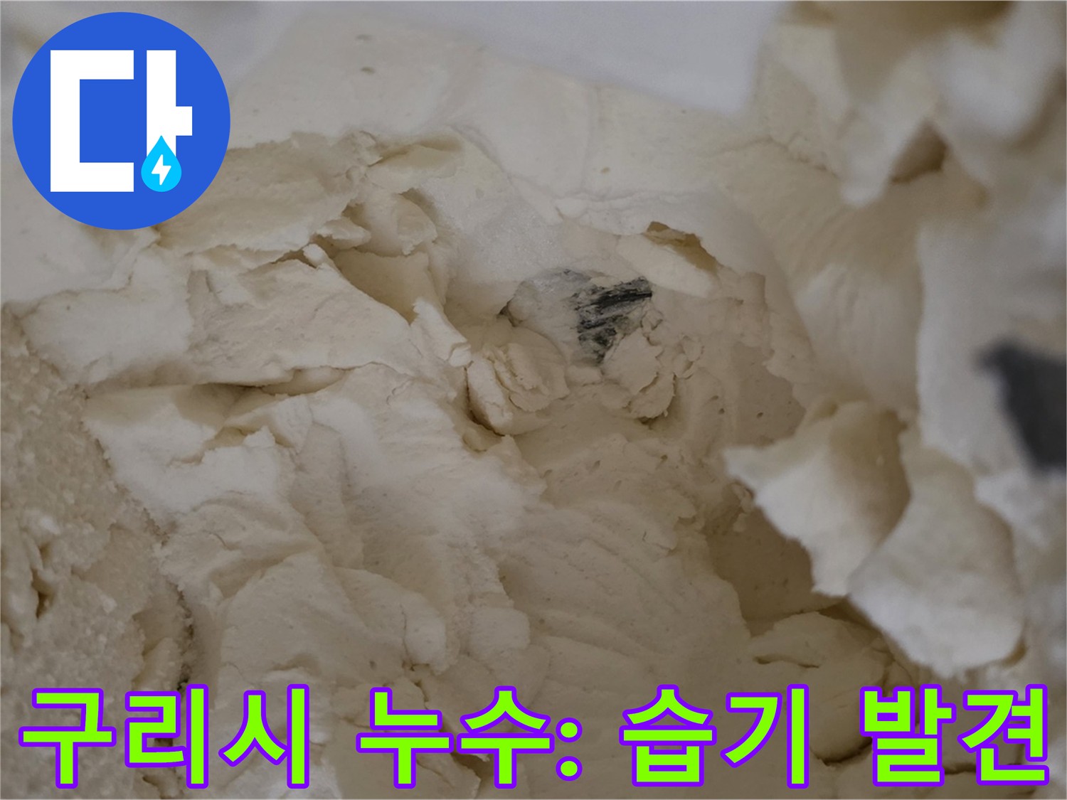 구리시 딸기원 - 기존 점검 부위 주변 습기 확인