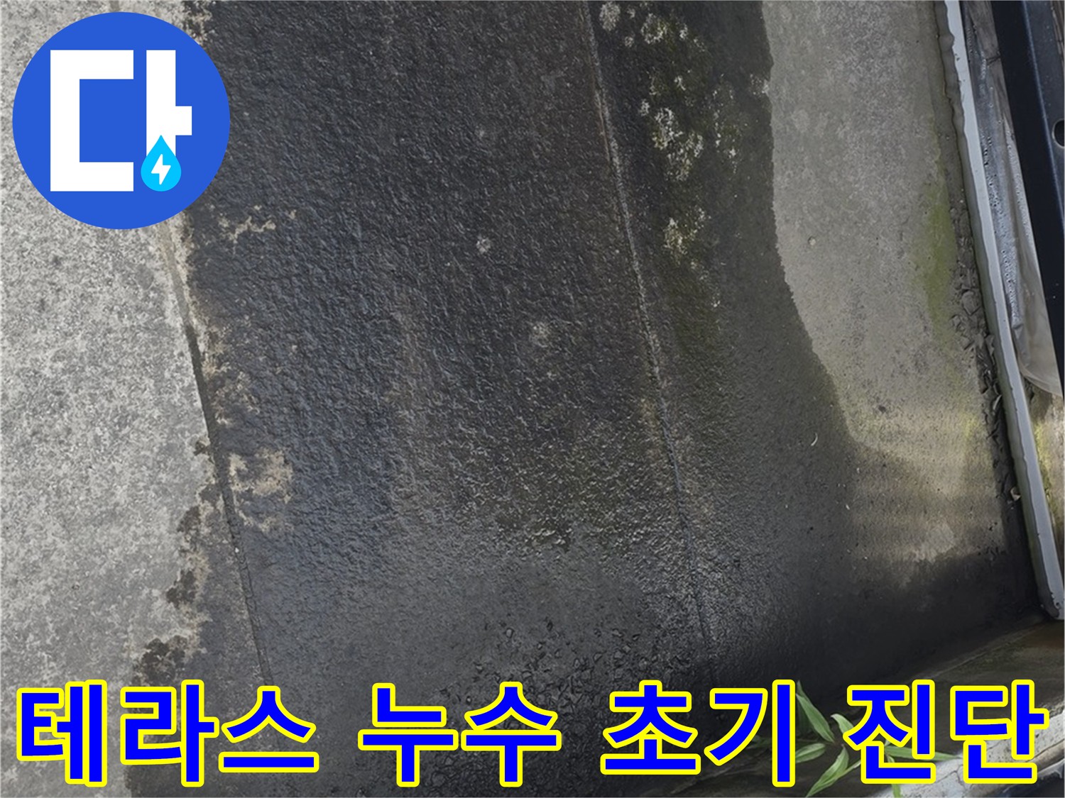 막힌 배수구와 손상된 배수관 - 테라스 누수의 주요 원인