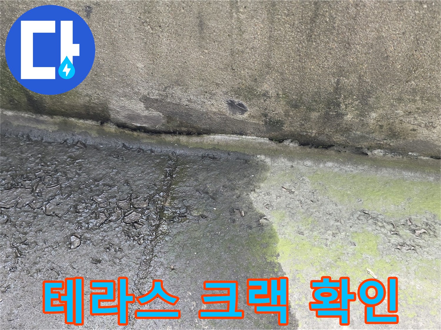 구리시 딸기원 테라스 바닥 크랙 상태 점검 사진
