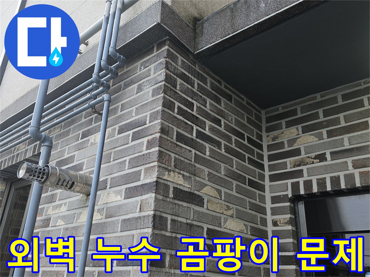 양평 외벽 누수 - 곰팡이 문제 해결