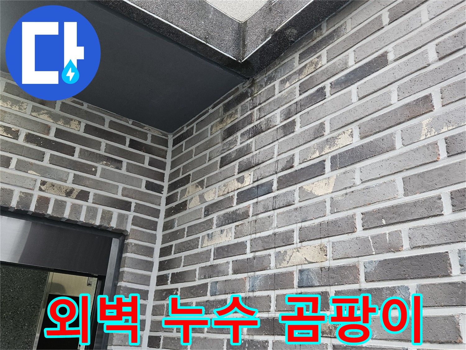 양평 용문 - 외벽 누수, 실내 곰팡이 발생 원인