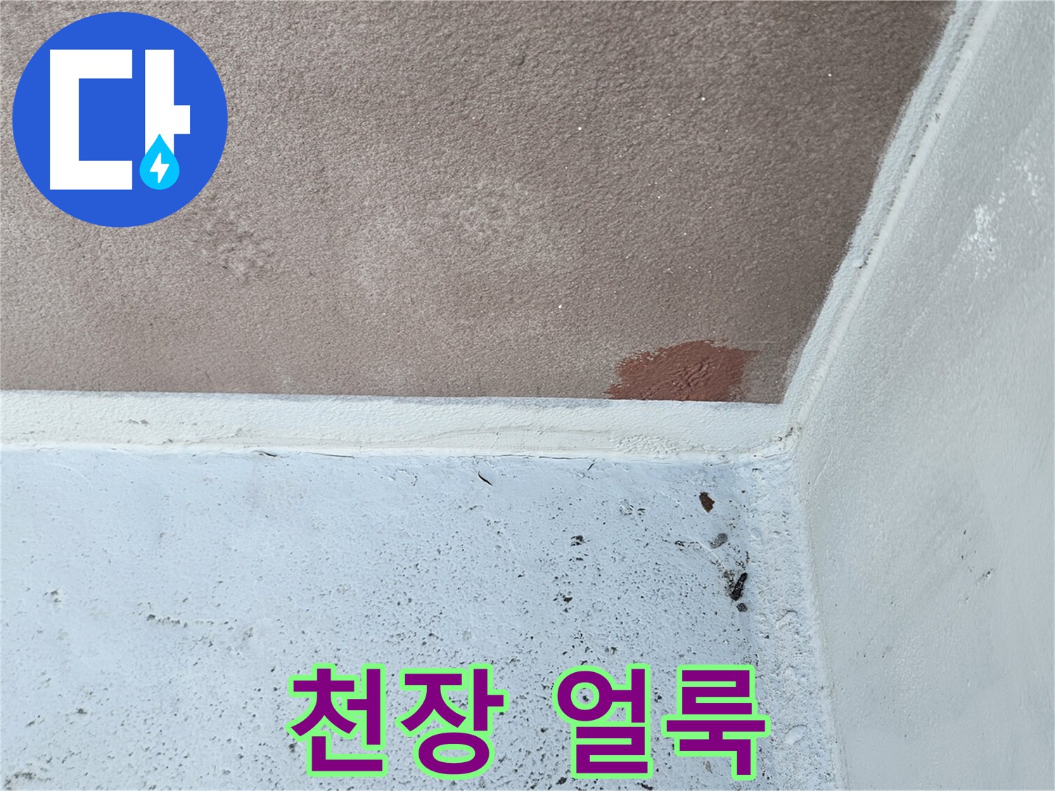 천장 곰팡이 - 누수로 인한 건강 문제