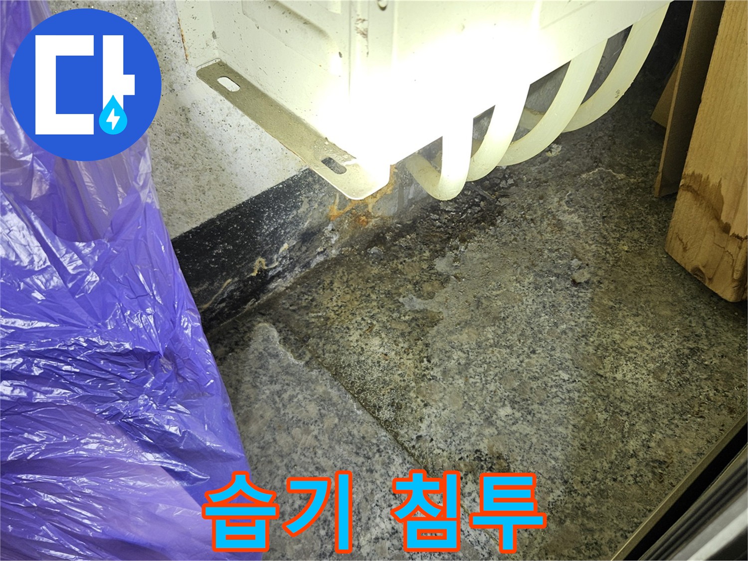 습기로 인한 곰팡이 발생 - 건강 악화 및 건물 구조 약화
