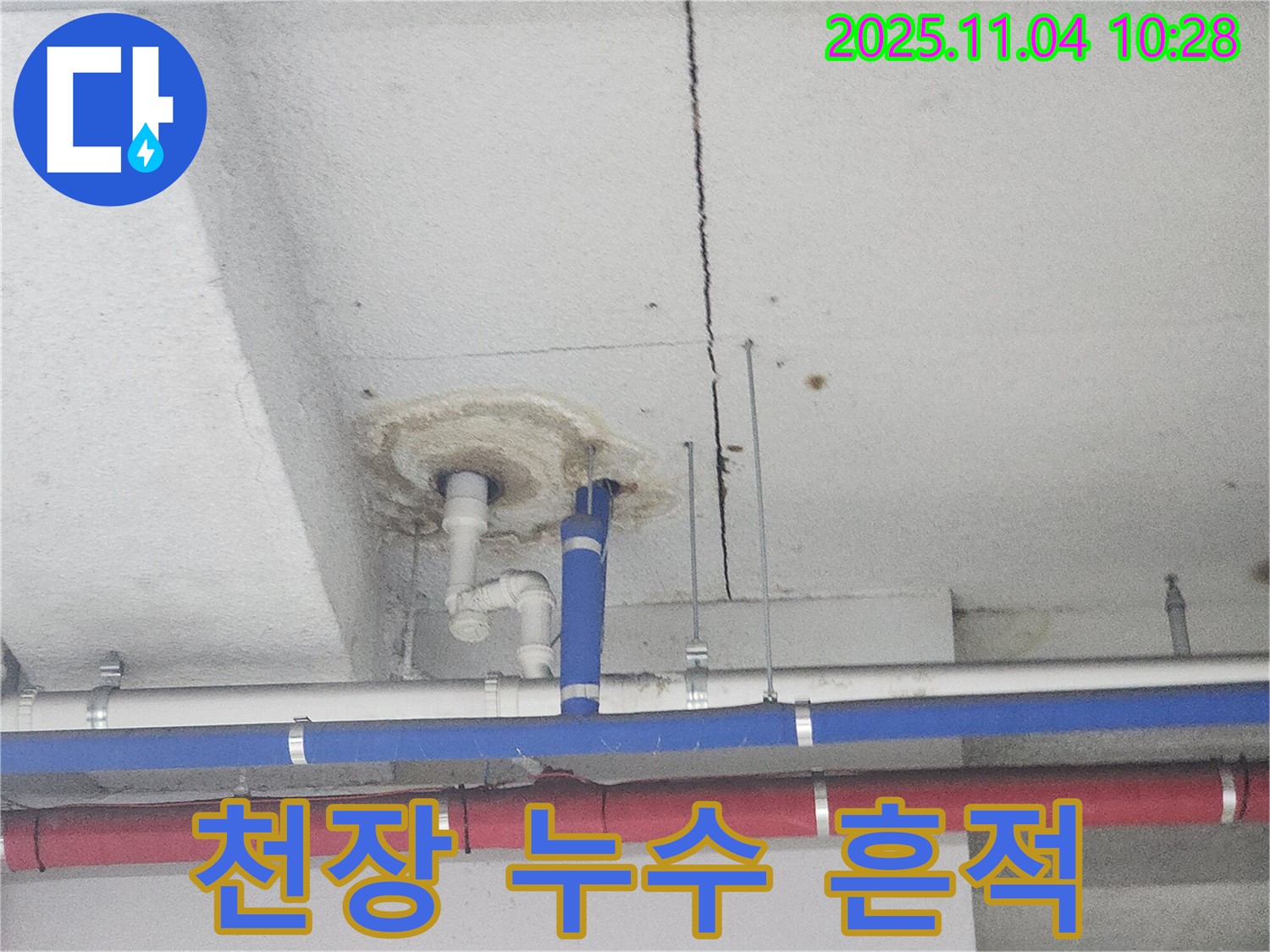 지금동 누수 - 천장 누수 흔적 발견