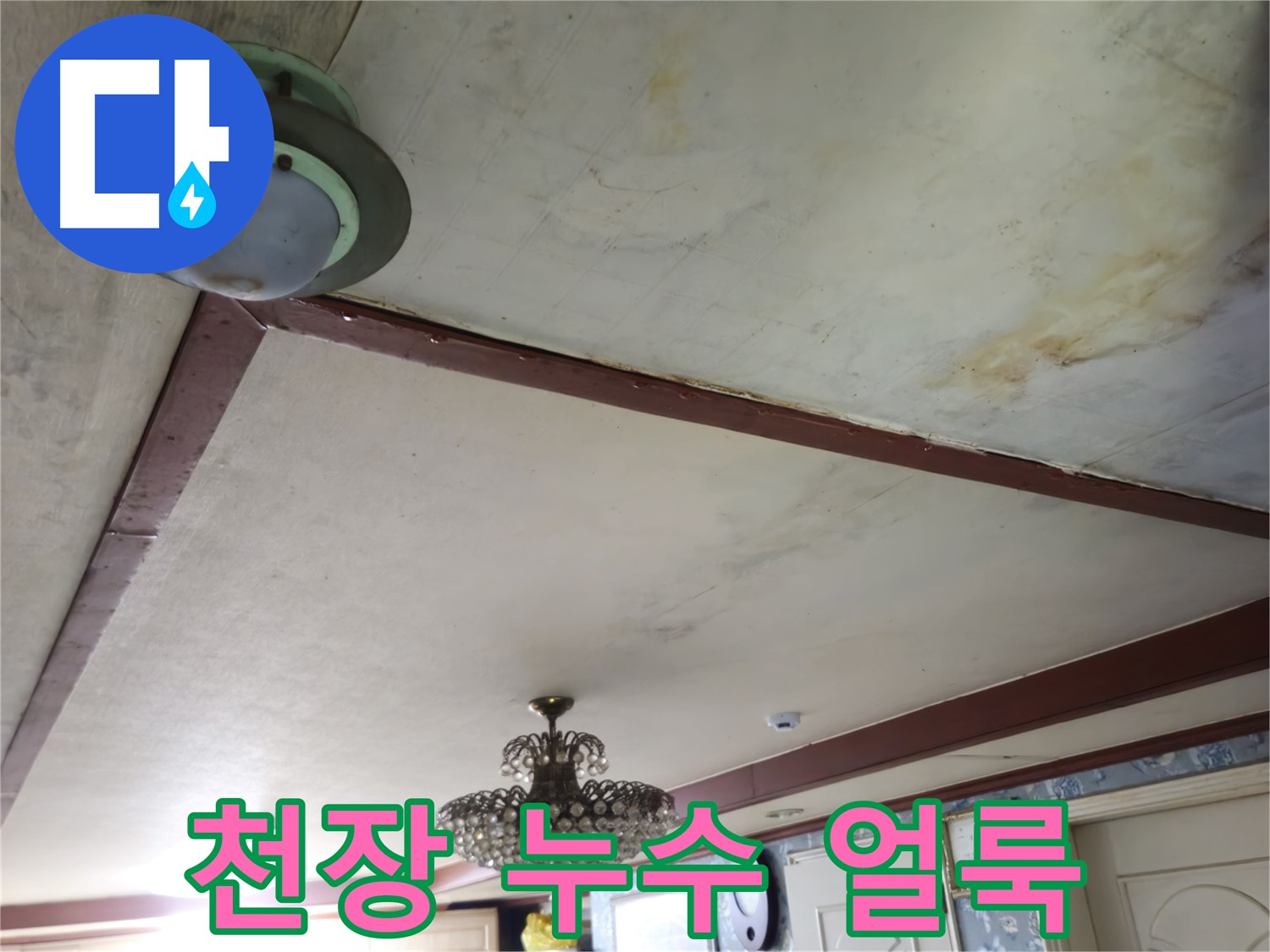 천장 얼룩, 누수 의심 - 첨단 장비 사용 정확한 누수 원인 진단