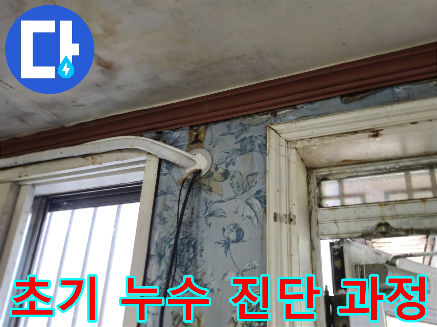 청파동 아파트 누수 - 천장 손상으로 인한 정밀 누수 진단 과정