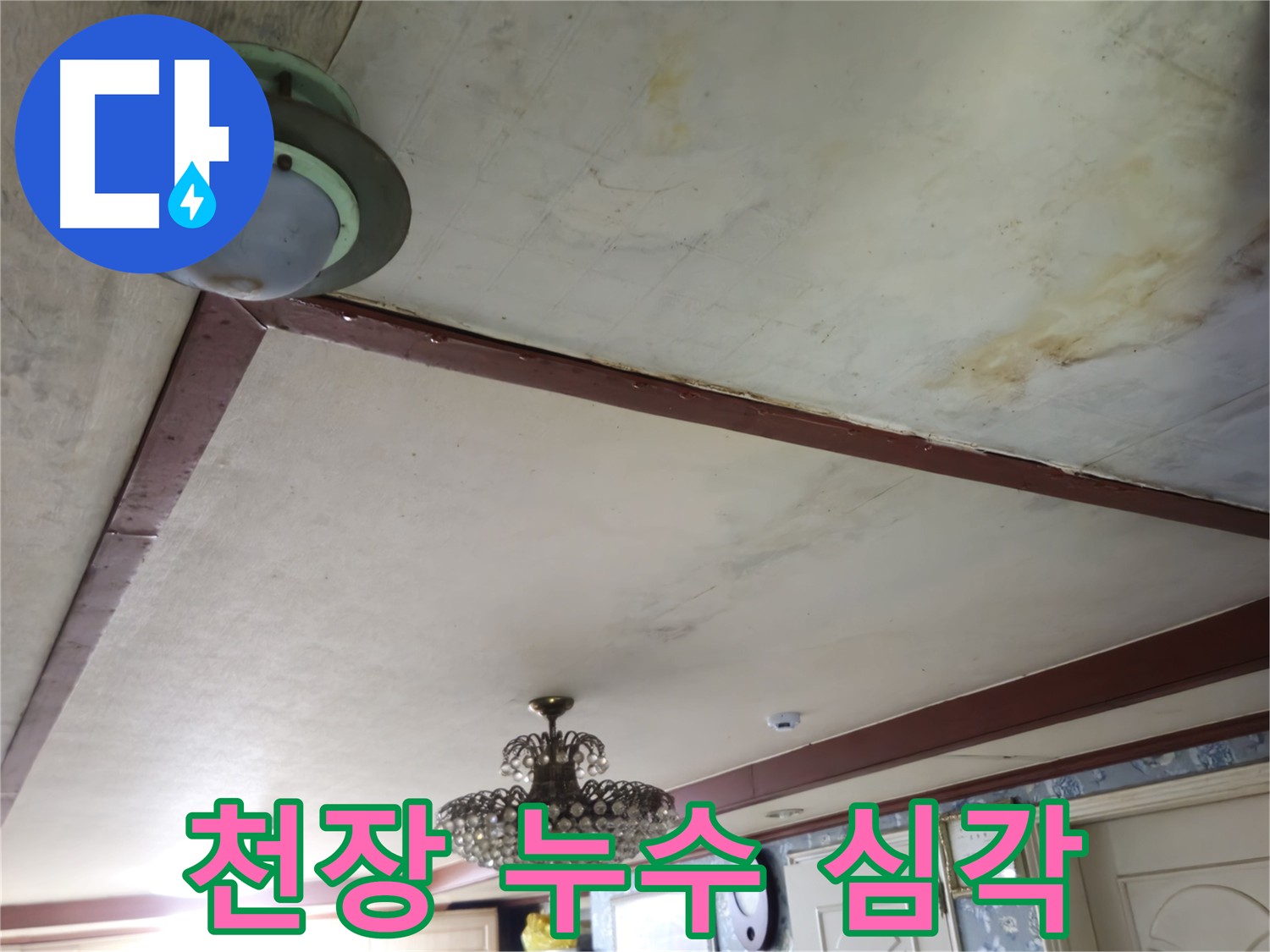 심각한 천장 누수 - 건물 전체 영향 방지를 위한 누수 차단