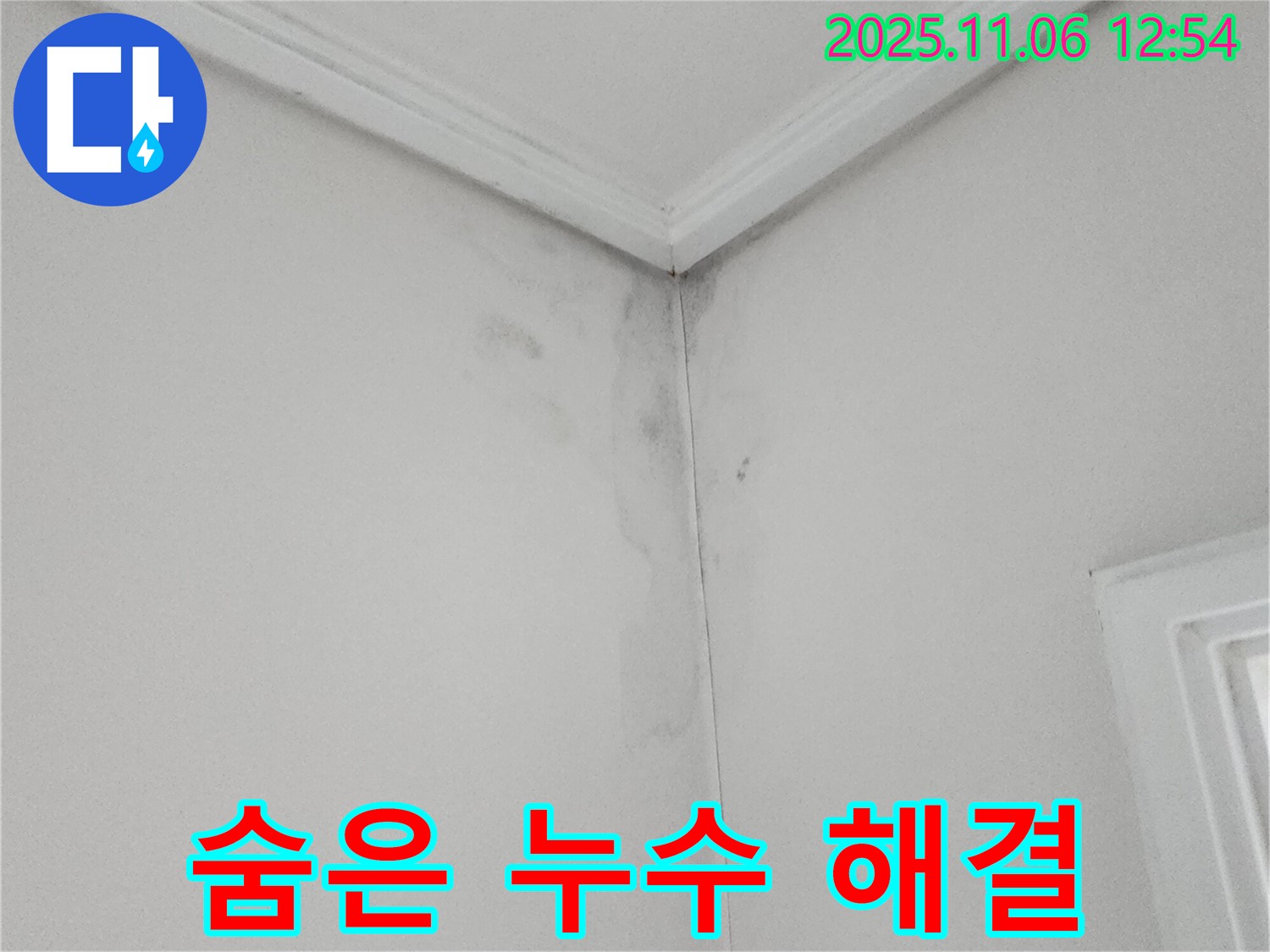 숨은 누수 - 꼼꼼한 점검으로 찾아낸 누수