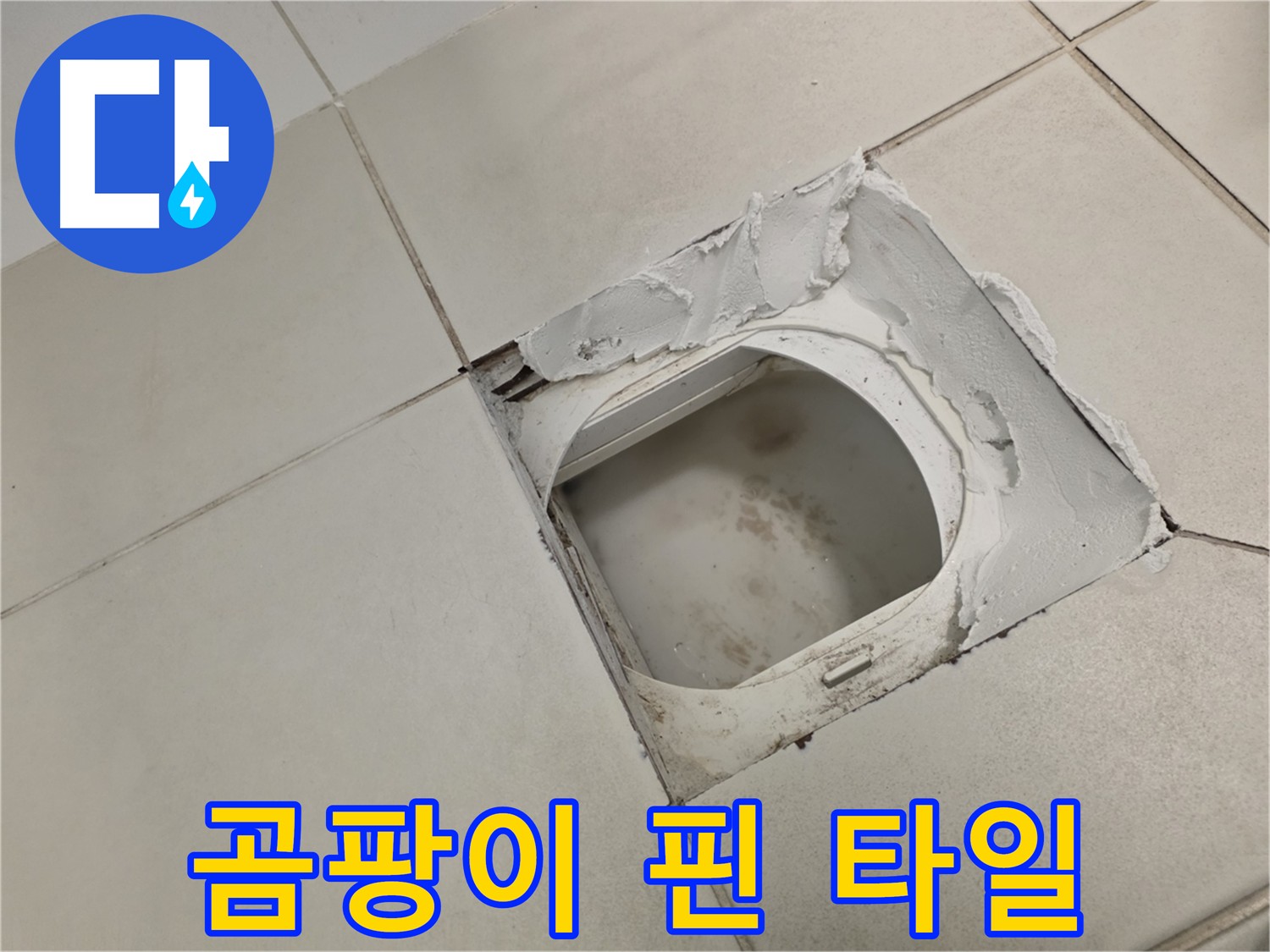 김포 사우동 누수 - 곰팡이 핀 타일은 누수의 확실한 신호
