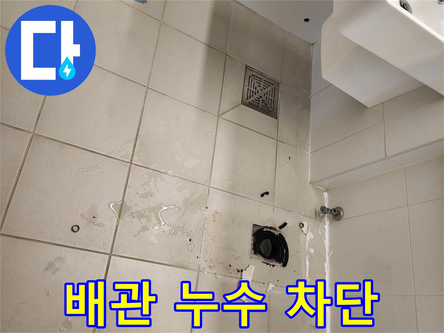 하수 배관 주변 굴착 - 누수 원인 정확하게 파악