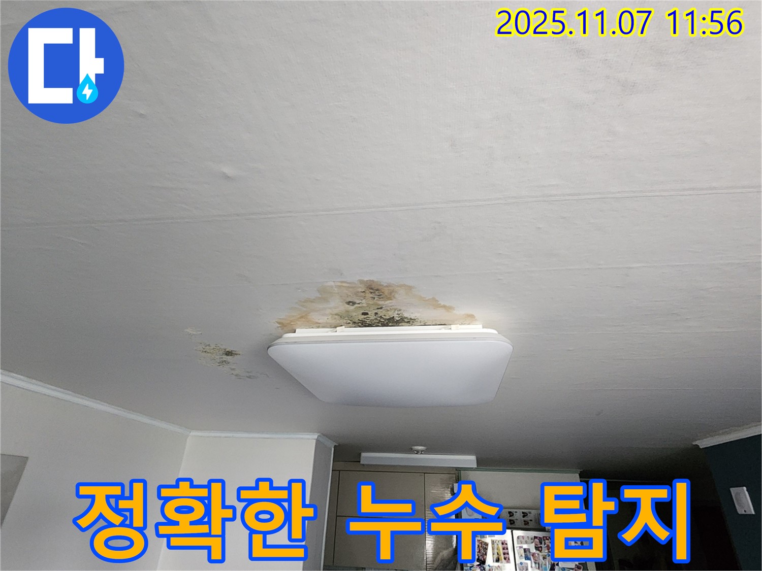 누수 탐지 전문 장비 - 정확한 누수 지점 파악