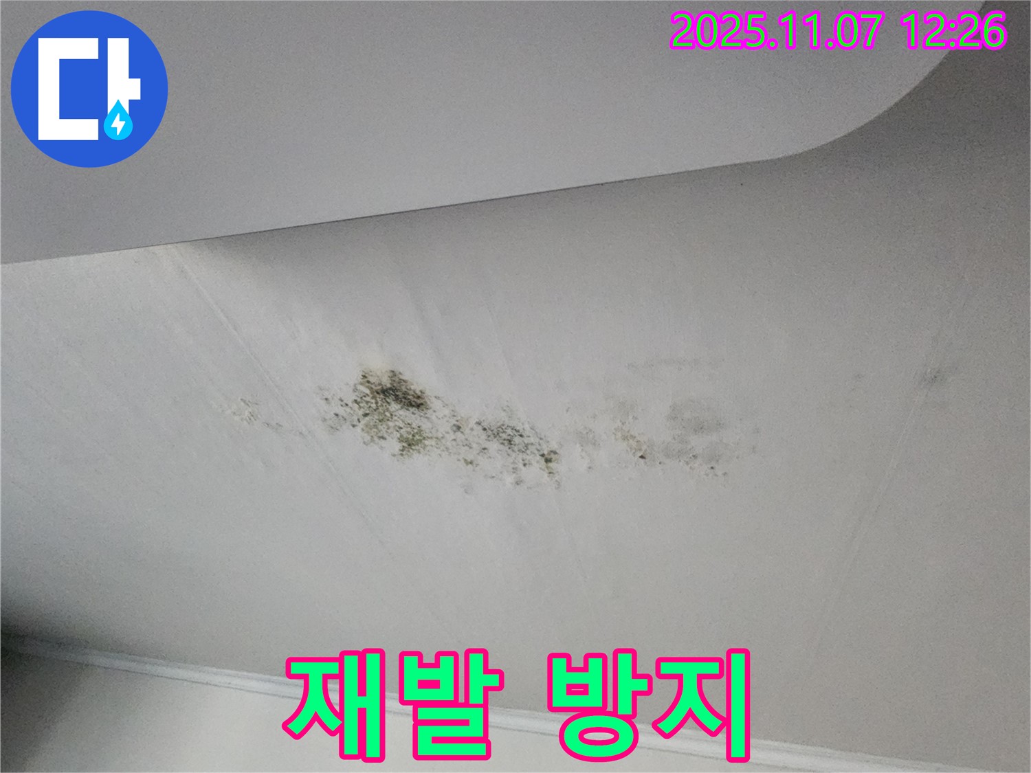완벽한 누수 시공 - 재발 방지