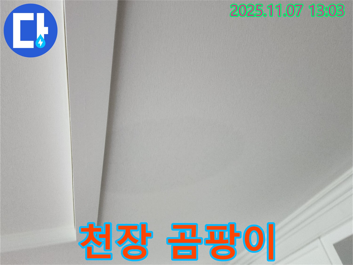 송산2동 천장 누수 - 곰팡이가 발생한 천장 사진입니다.