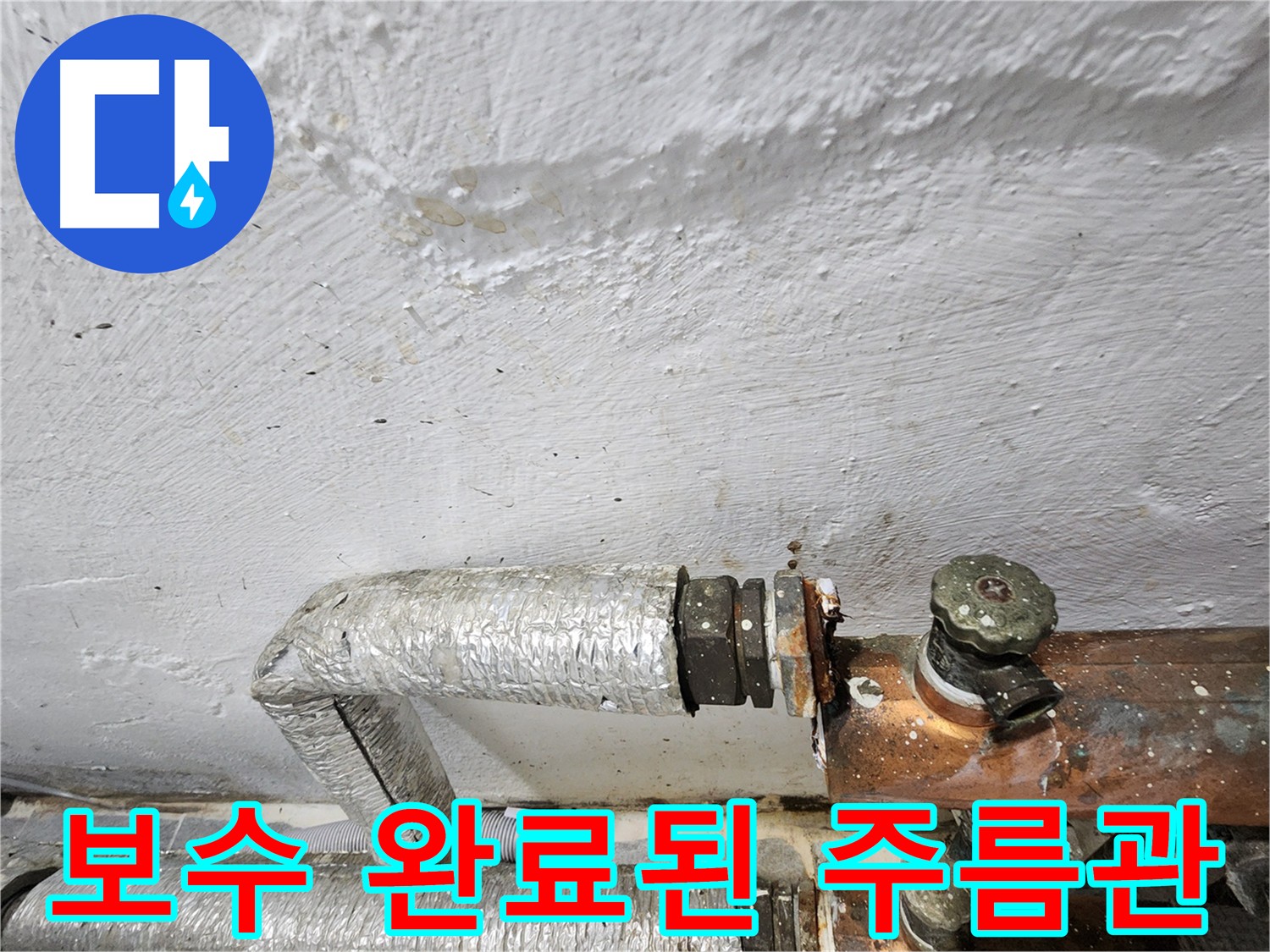 양천구 신월동 주름관 누수 보수 완료 - 깔끔한 해결, 누수 걱정 없는 생활