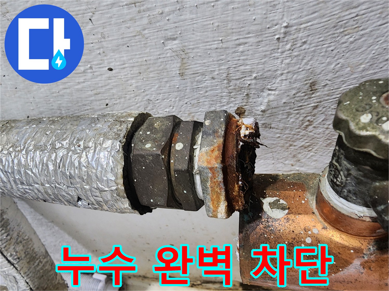 양천구 신월동 동배관 누수 - 신속한 대처로 누수 완벽 차단