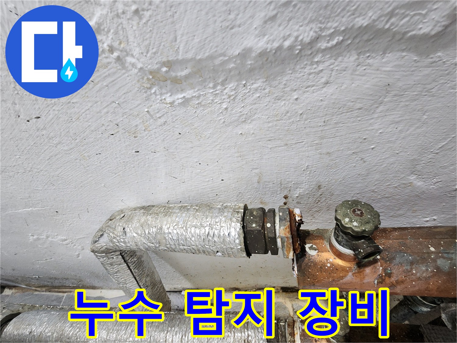 양천구 신월동 최첨단 장비 누수 탐지 - 주름관 누수 지점 정확한 해결