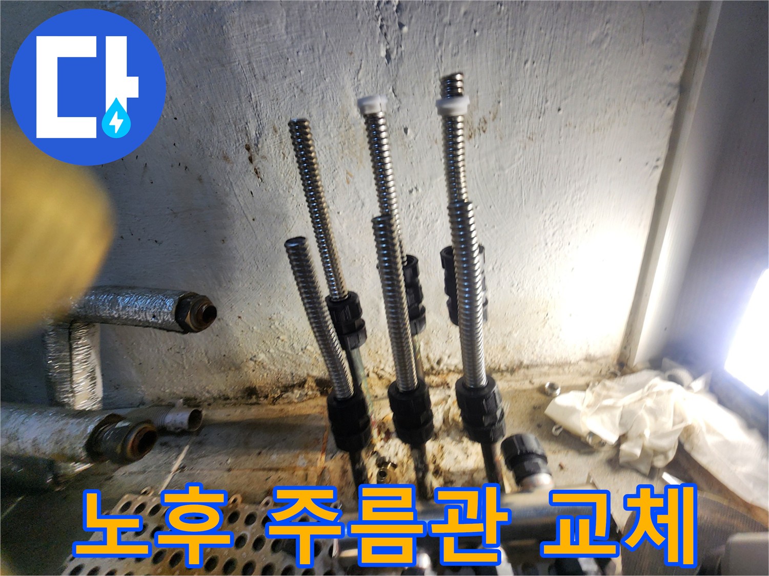 양천구 신월동 주름관 교체 누수 공사 사진