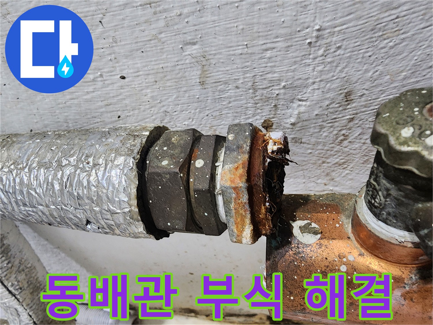 양천구 신월동 동배관 누수 - 신속하고 정확한 누수 해결