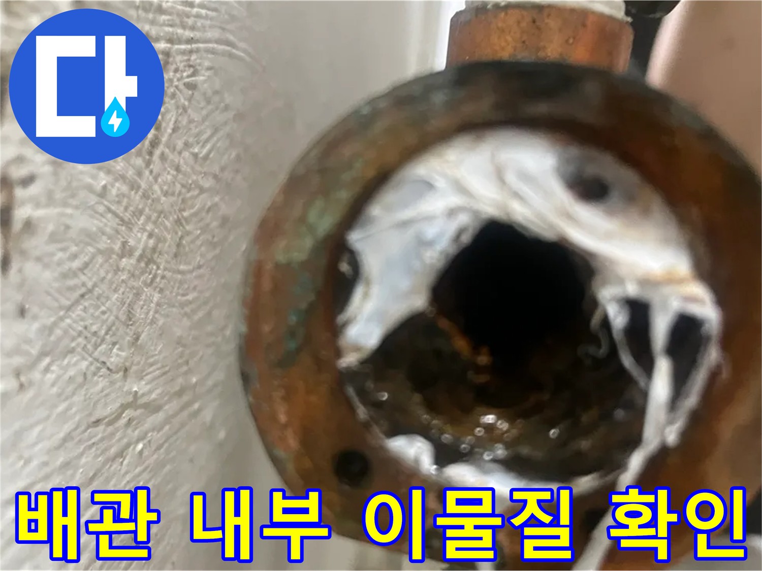 배관 속 이물질 - 신월동 누수 원인 제거