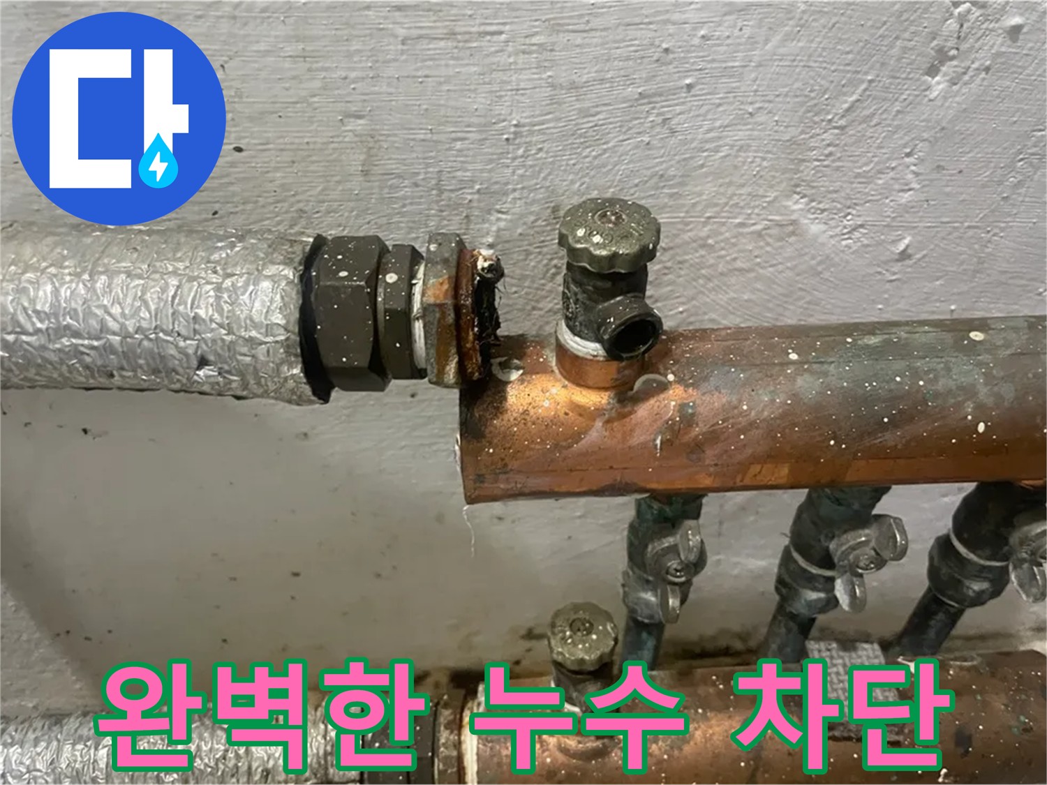양천구 신월동 누수 공사 - 완벽한 누수 차단 및 꼼꼼한 마무리