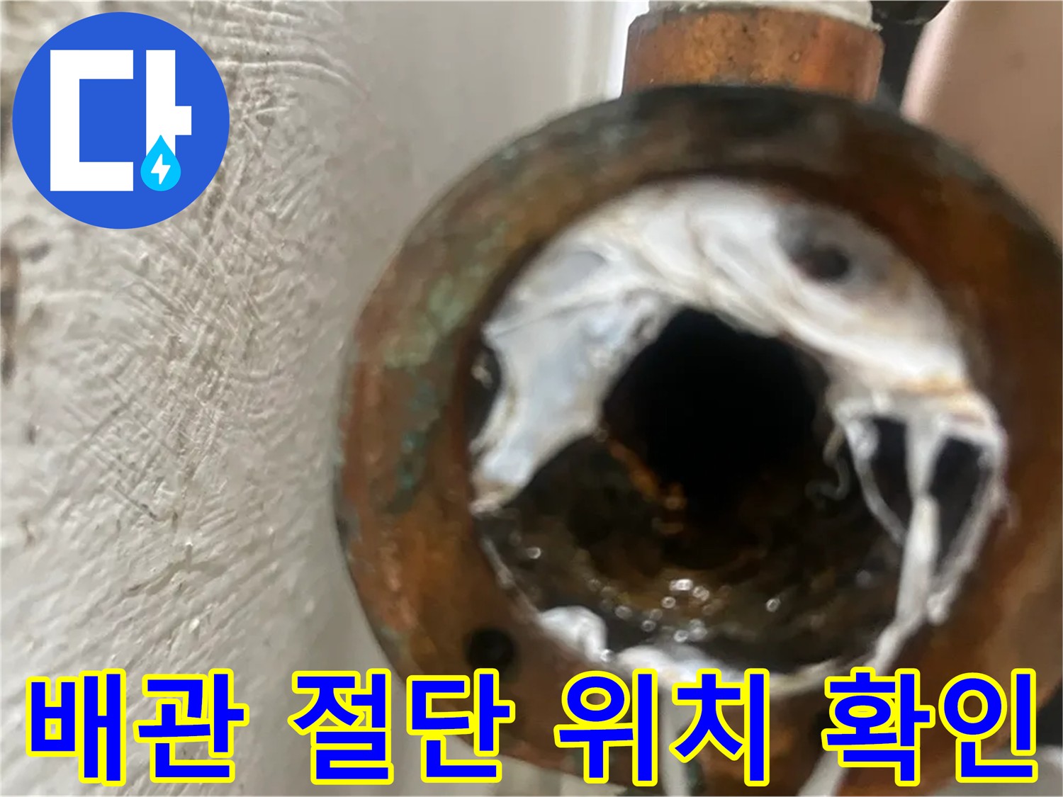 노후 배관 교체 준비 - 양천구 신월동 누수 해결