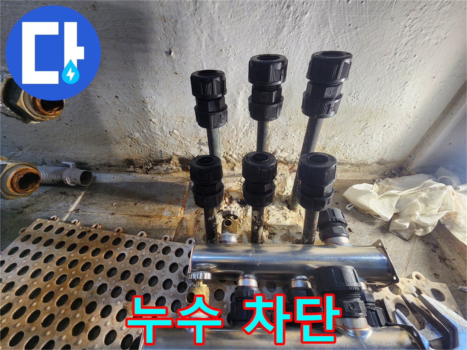 양천구 신월동 동배관 컷팅 후 연장 수리 전문