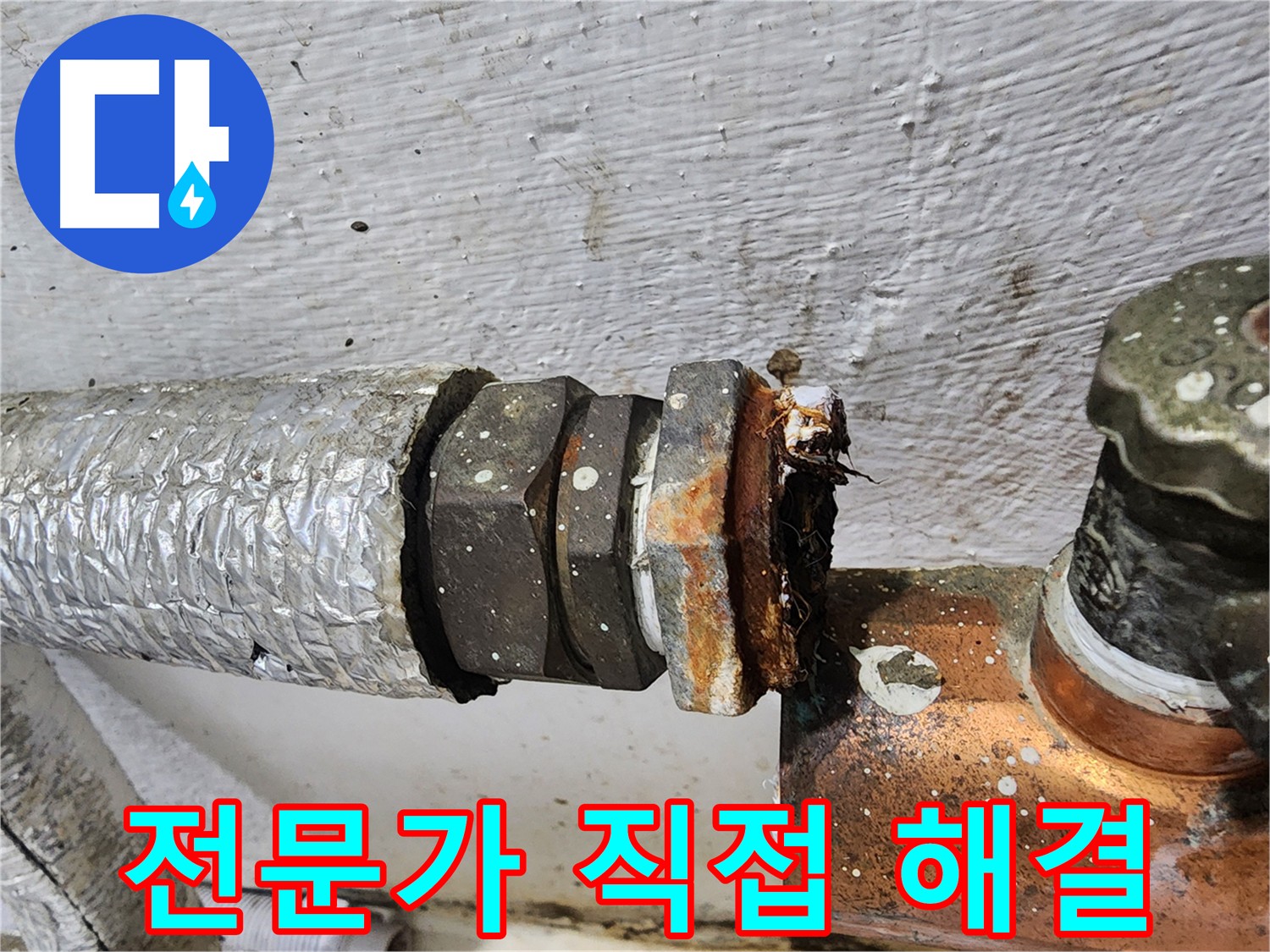양천구 신월동 동배관 누수 - 숙련된 전문가의 누수 해결