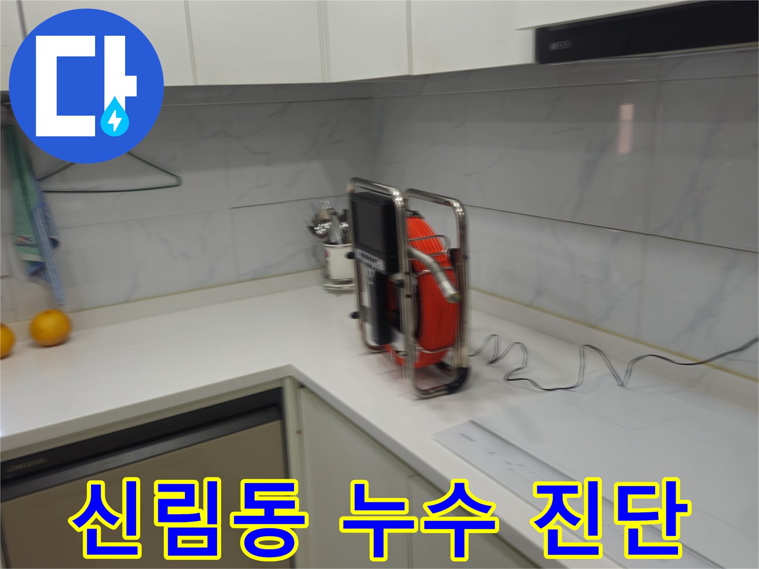 신림동 빌라 하수 배관 누수 - 내시경 카메라 정밀 진단 현장