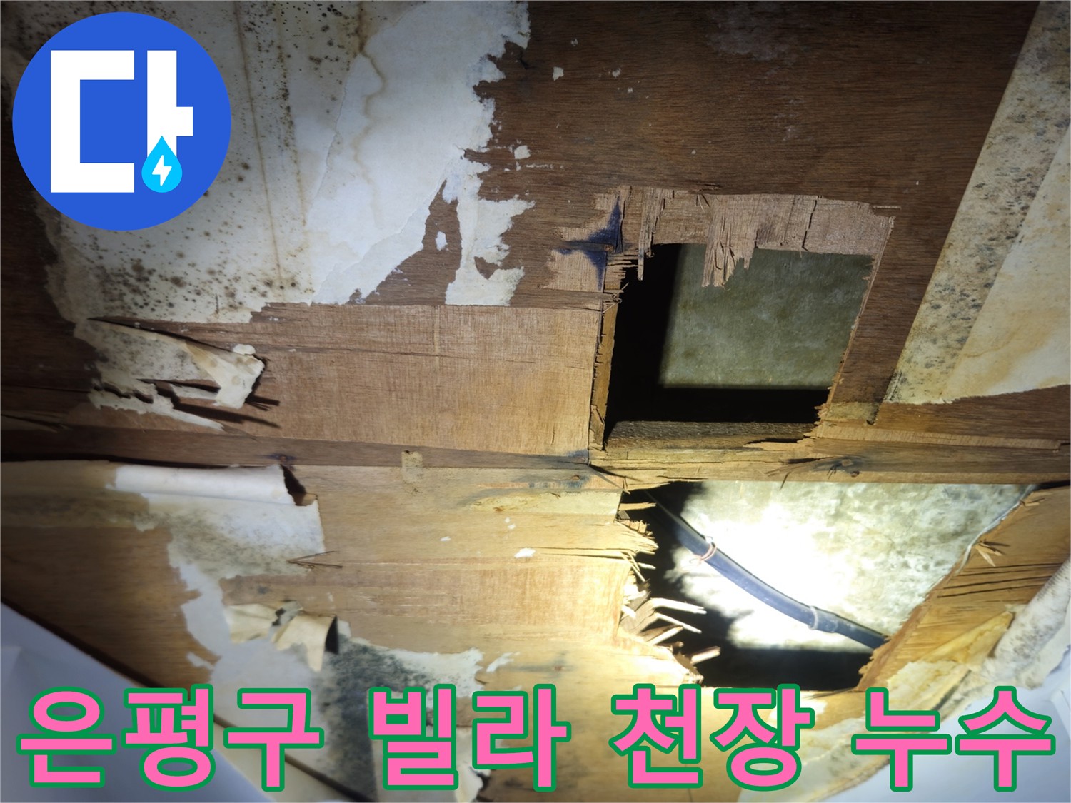 은평구 빌라 천장 누수 해결 과정 - 아랫집 누수 원인 점검 및 누수 탐지 공사