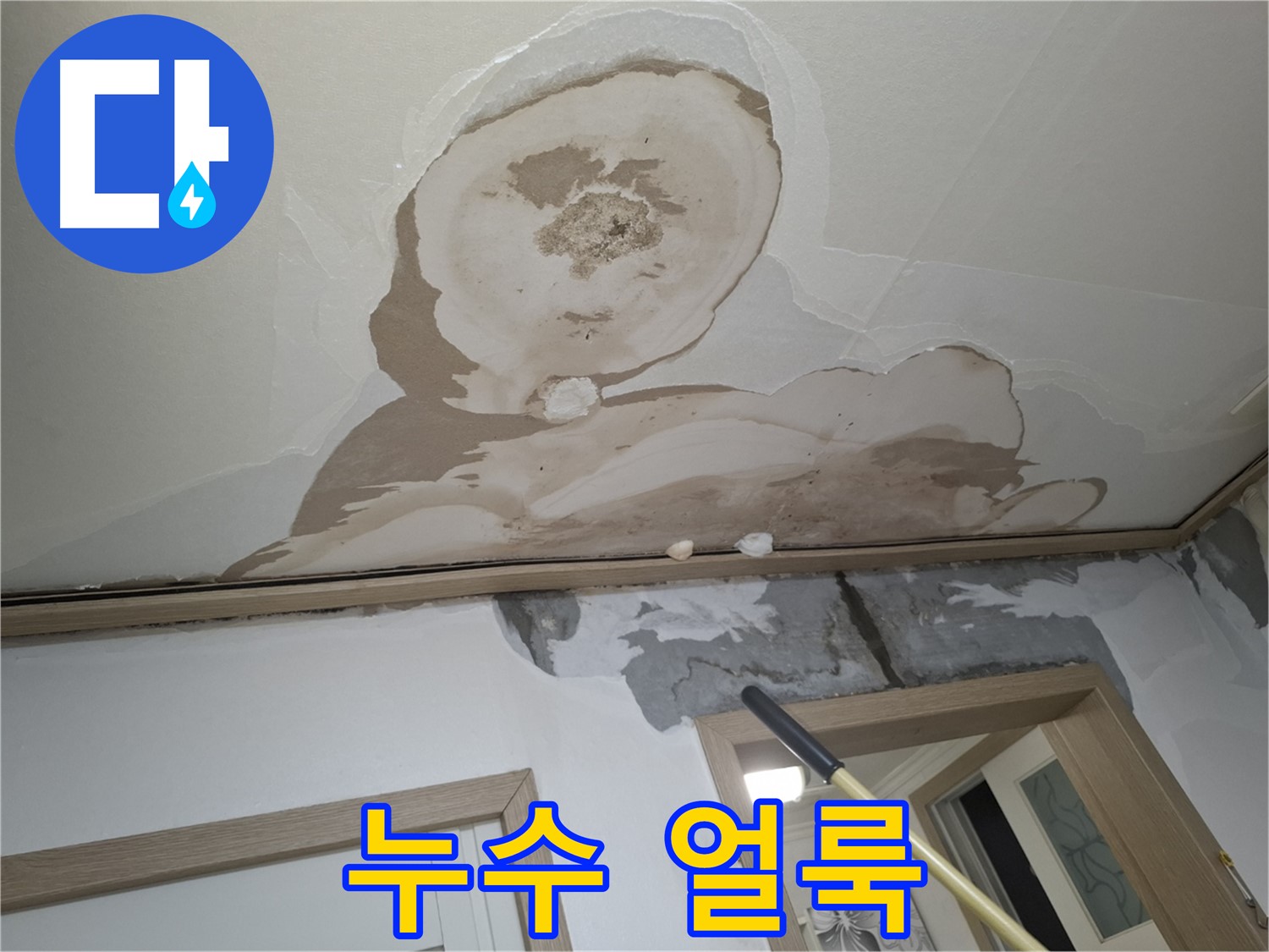 천장에 넓게 퍼진 누수 얼룩 - 곰팡이 발생 위험이 높습니다.