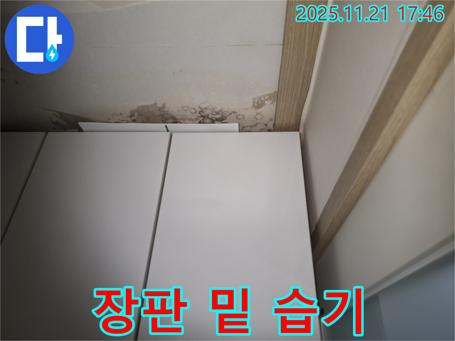 신림 장판 밑 습기 발견 - 누수 초기 증상 여부 진단